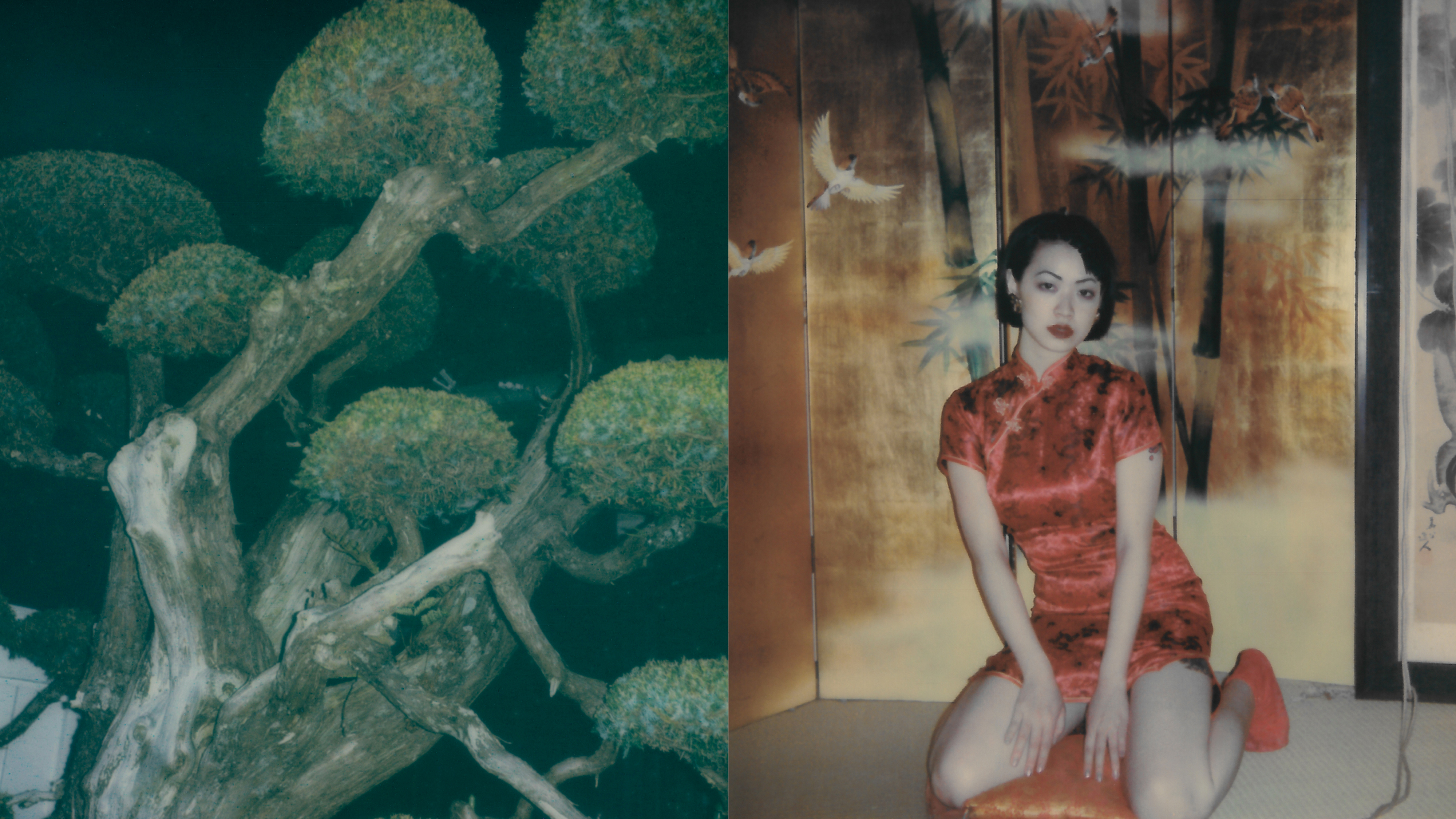 MÉTROPOLISSON JANOL APIN 写真集 Offline - CONTRAST ARCHIVE